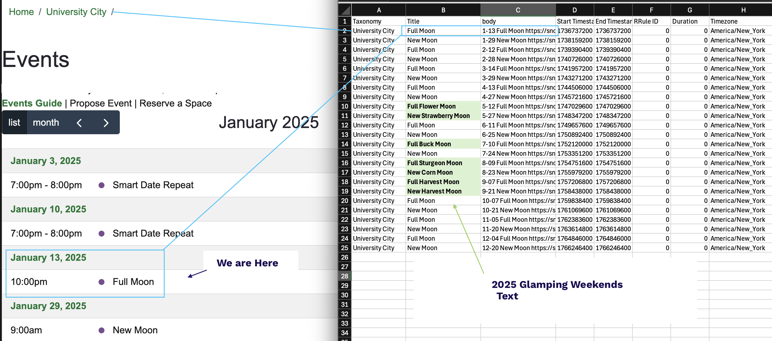 Feeds Import Example