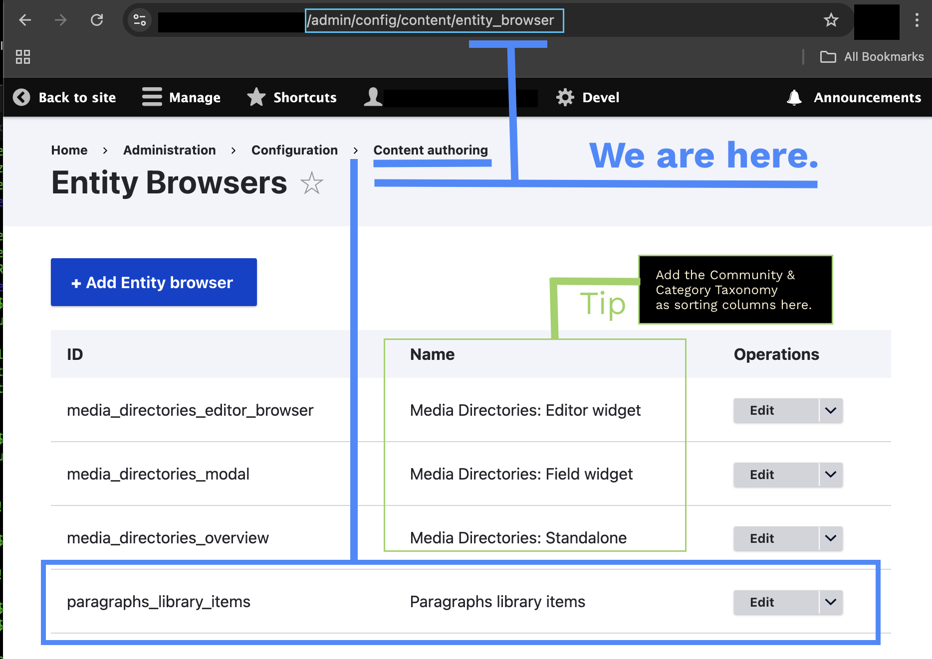 Paragraph Library Entity Browsing