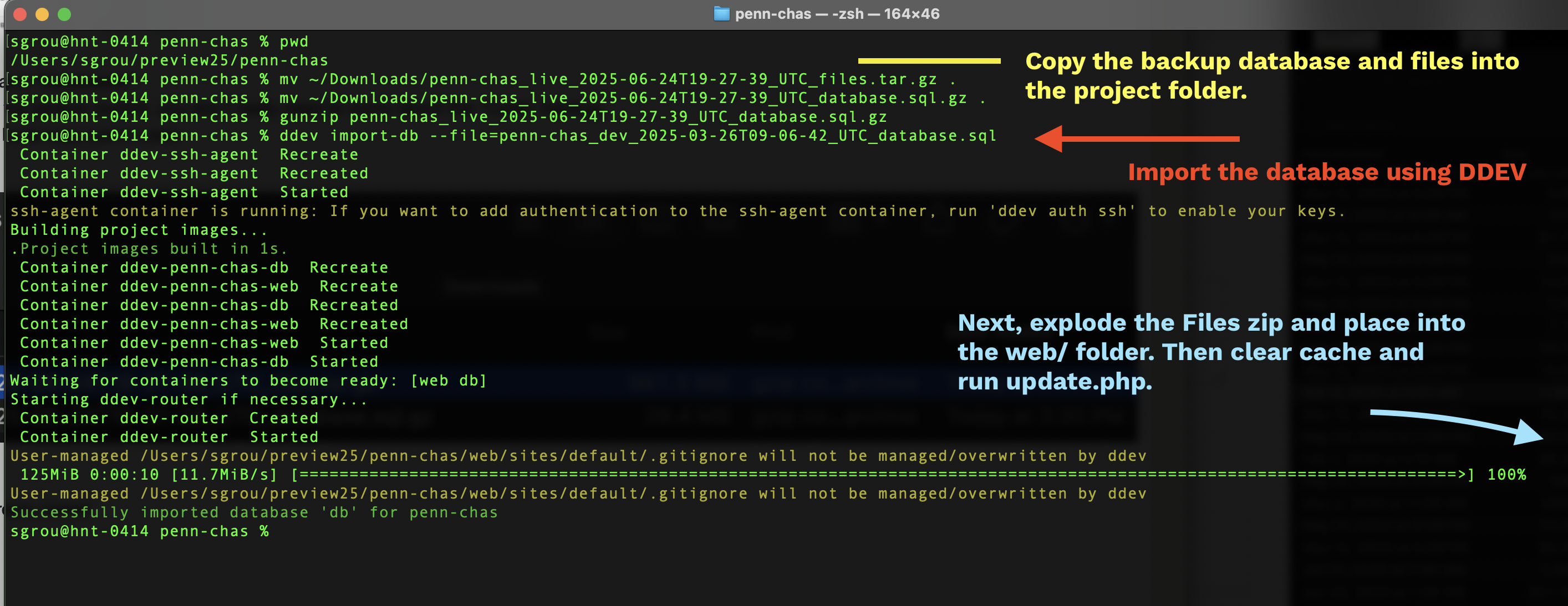 Restore Pantheon Backup