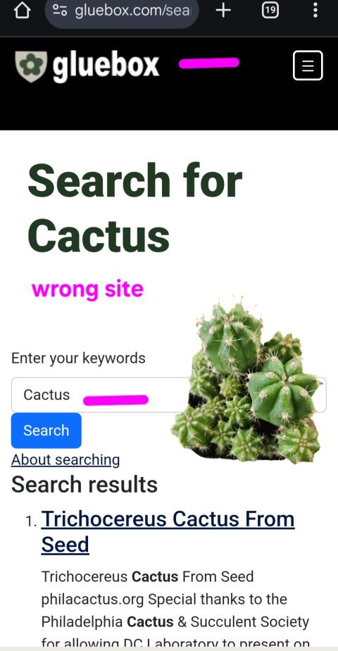 Wrong site